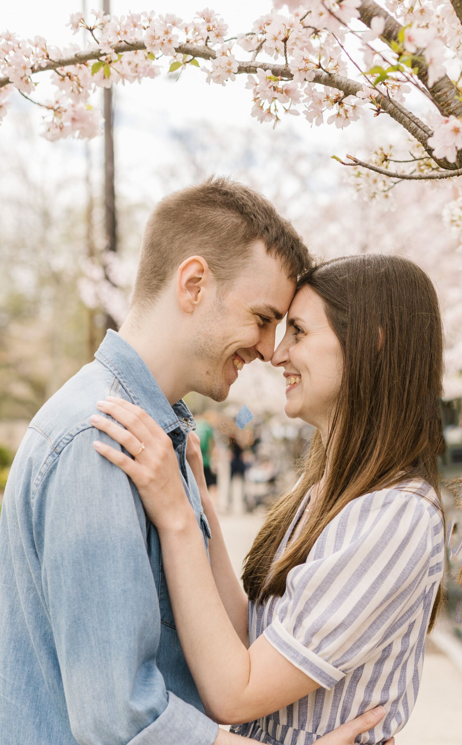 Man and woman embracing under cherry blossom tree in new haven ct